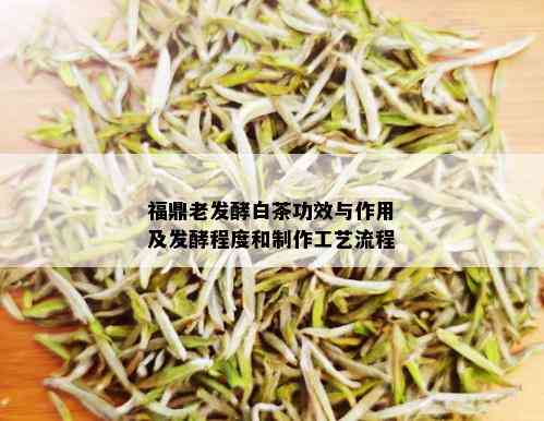 福鼎老发酵白茶功效与作用及发酵程度和制作工艺流程