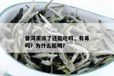 普洱茶凉了还能吃吗，有吗？为什么能喝？