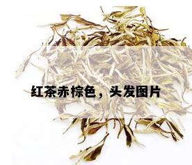 红茶赤棕色，头发图片