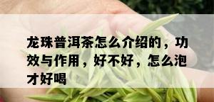 龙珠普洱茶怎么介绍的，功效与作用，好不好，怎么泡才好喝