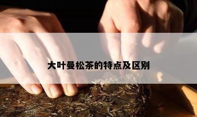 大叶曼松茶的特点及区别