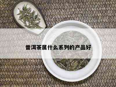 普洱茶属什么系列的产品好