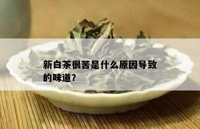 新白茶很苦是什么原因导致的味道？