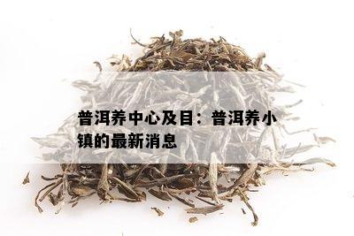 普洱养中心及目：普洱养小镇的最新消息