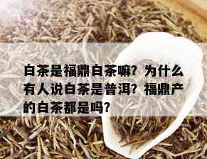 白茶是福鼎白茶嘛？为什么有人说白茶是普洱？福鼎产的白茶都是吗？