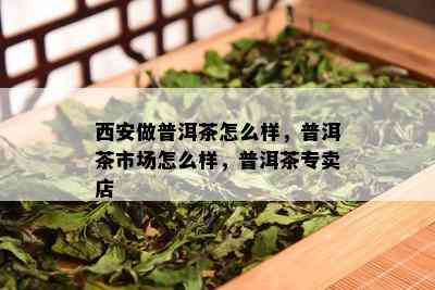 西安做普洱茶怎么样，普洱茶市场怎么样，普洱茶专卖店