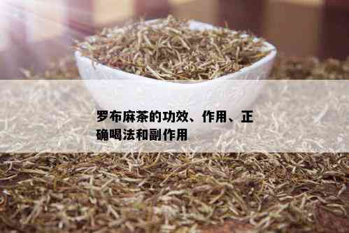 罗布麻茶的功效、作用、正确喝法和副作用