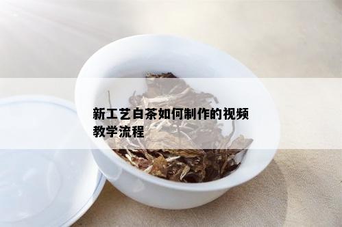 新工艺白茶如何制作的视频教学流程