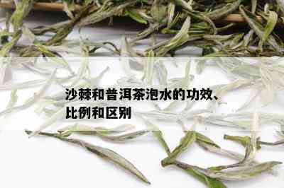 沙棘和普洱茶泡水的功效、比例和区别