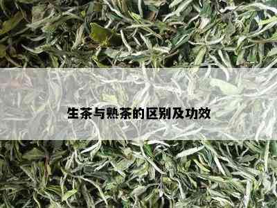 生茶与熟茶的区别及功效