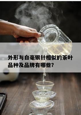 外形与白毫银针相似的茶叶品种及品牌有哪些？