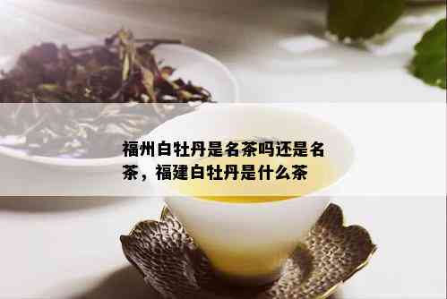 福州白牡丹是名茶吗还是名茶，福建白牡丹是什么茶