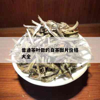 普通茶叶做的白茶图片价格大全