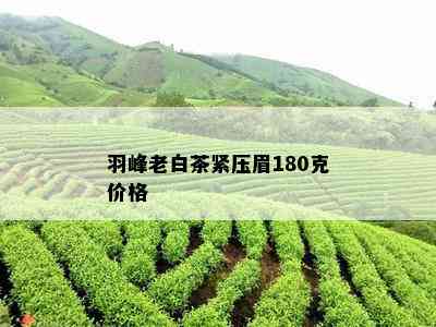 羽峰老白茶紧压眉180克价格