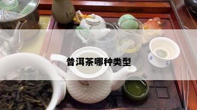 普洱茶哪种类型