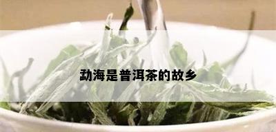 勐海是普洱茶的故乡