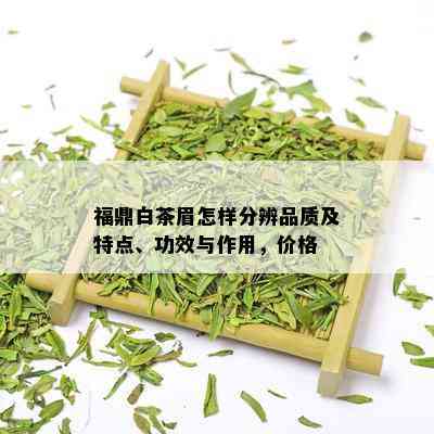 福鼎白茶眉怎样分辨品质及特点、功效与作用，价格