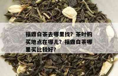 福鼎白茶去哪里找？茶叶购买地点在哪儿？福鼎白茶哪里买比较好？