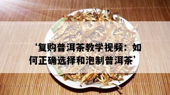 ‘复购普洱茶教学视频：如何正确选择和泡制普洱茶’