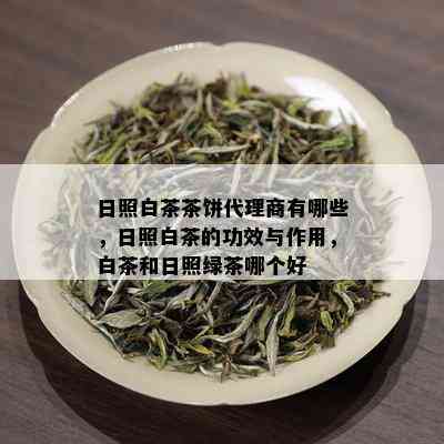 日照白茶茶饼代理商有哪些，日照白茶的功效与作用，白茶和日照绿茶哪个好