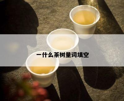 一什么茶树量词填空