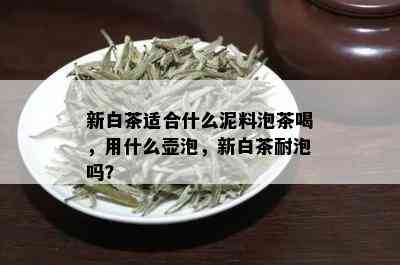 新白茶适合什么泥料泡茶喝，用什么壶泡，新白茶耐泡吗？