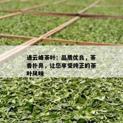 通云峰茶叶：品质优良，茶香扑鼻，让您享受纯正的茶叶风味