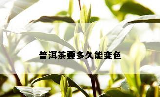 普洱茶要多久能变色