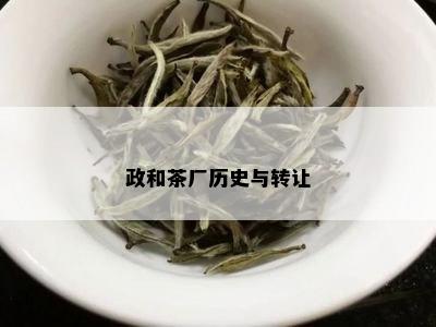 政和茶厂历史与转让