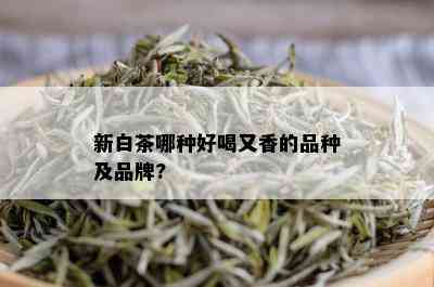 新白茶哪种好喝又香的品种及品牌?