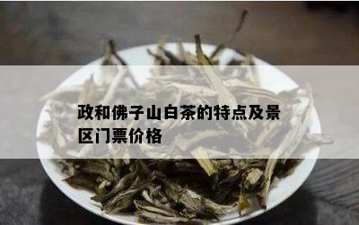 政和佛子山白茶的特点及景区门票价格