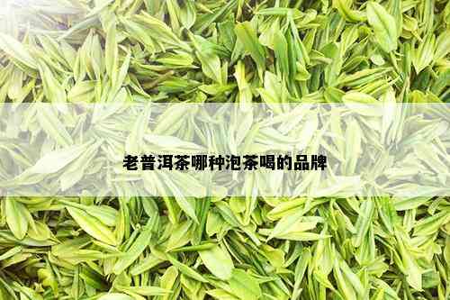 老普洱茶哪种泡茶喝的品牌