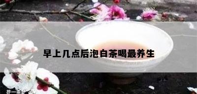 早上几点后泡白茶喝最养生