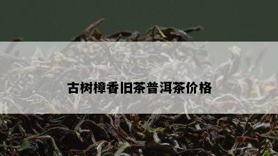 古树樟香旧茶普洱茶价格