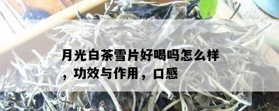 月光白茶雪片好喝吗怎么样，功效与作用，口感