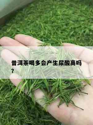 普洱茶喝多会产生尿酸高吗？