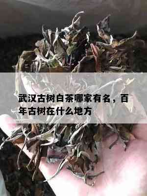 武汉古树白茶哪家有名，百年古树在什么地方