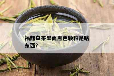 福鼎白茶里面黑色颗粒是啥东西？