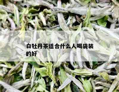 白牡丹茶适合什么人喝袋装的好