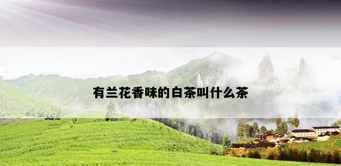 有兰花香味的白茶叫什么茶