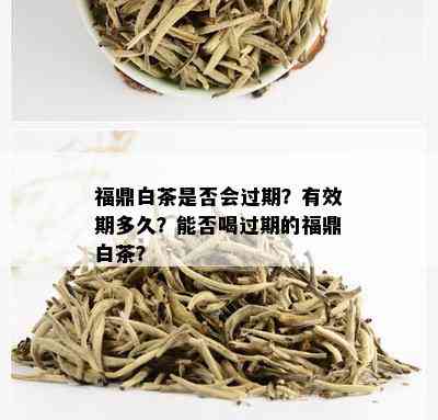 福鼎白茶是否会过期？有效期多久？能否喝过期的福鼎白茶？