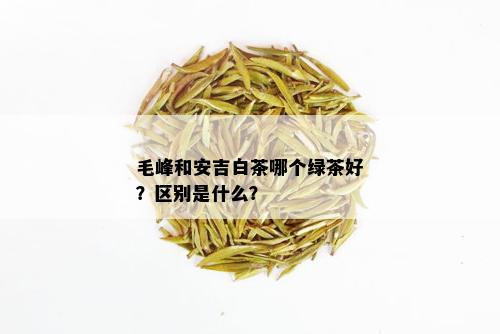 毛峰和安吉白茶哪个绿茶好？区别是什么？