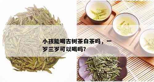 小孩能喝古树茶白茶吗，一岁三岁可以喝吗？