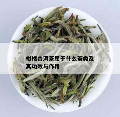 柑橘普洱茶属于什么茶类及其功效与作用