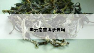 喝云南普洱茶长吗