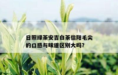 日照绿茶安吉白茶信阳毛尖的口感与味道区别大吗？