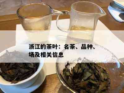 浙江的茶叶：名茶、品种、场及相关信息