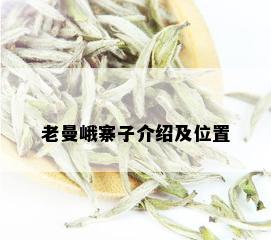 老曼峨寨子介绍及位置