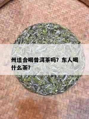 州适合喝普洱茶吗？东人喝什么茶？