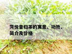 菏悦昔归茶的寓意、功效、简介及价格